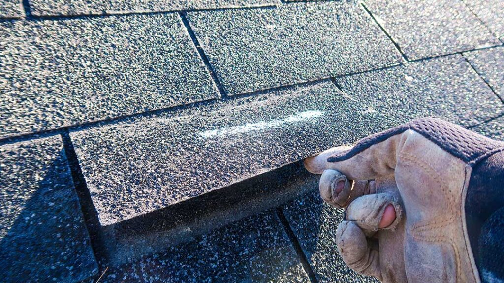 Homeowner inspecting roof shingles and gutters from the ground after seasonal weather.